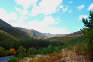 o invernadeiro blog