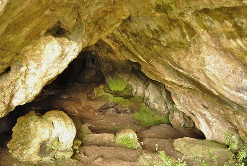 La Cueva del Rey Cintoulo